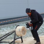 Selezione Mondiali Spaccalegna Stihl 310110