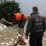 Selezione Mondiali Spaccalegna Stihl 310110