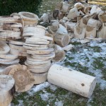 Selezione Mondiali Spaccalegna Stihl 310110