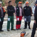 Selezione Mondiali Spaccalegna Stihl 310110