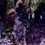 Festa_CVCM_2011