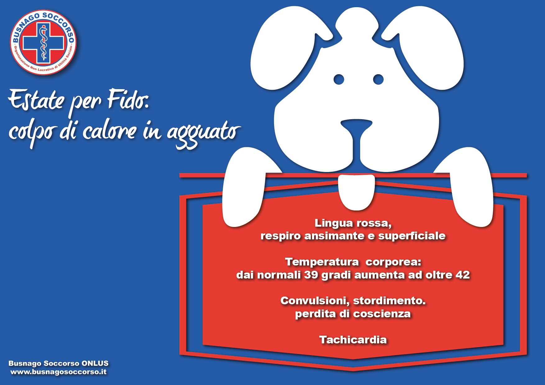 colpo_di_calore_nel_cane_busnagosoccorso-01